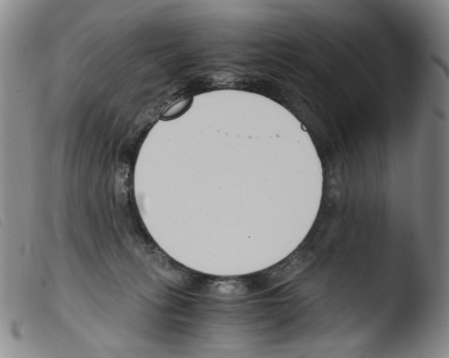 X0000103480275200810241045