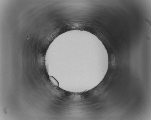 X0000103480276200810241045