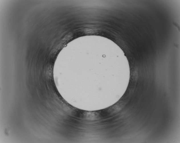 X0000103480277200810241045