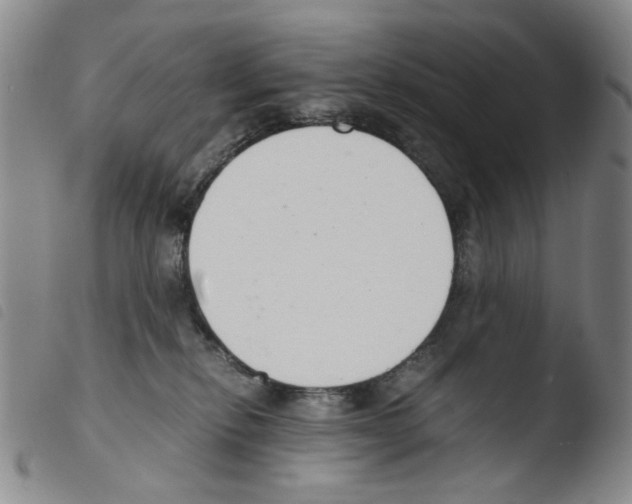 X0000103480278200810241045
