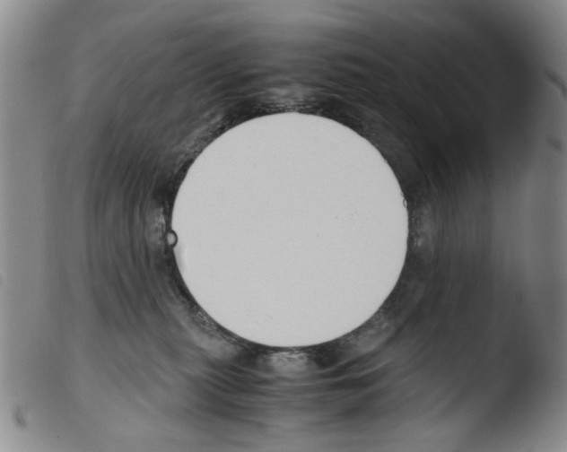 X0000103480279200810241045