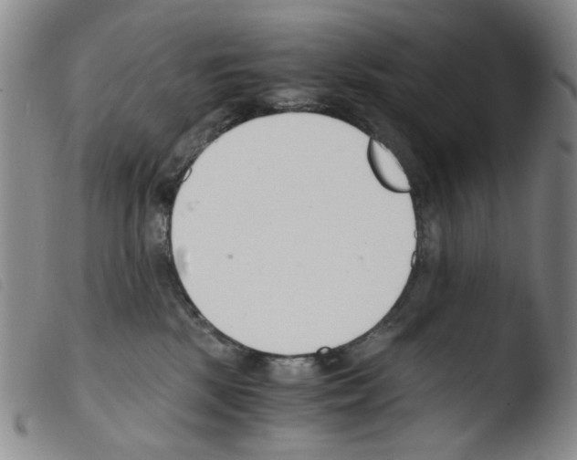 X0000103480281200810241045