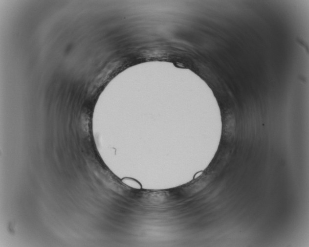 X0000103480282200810241045