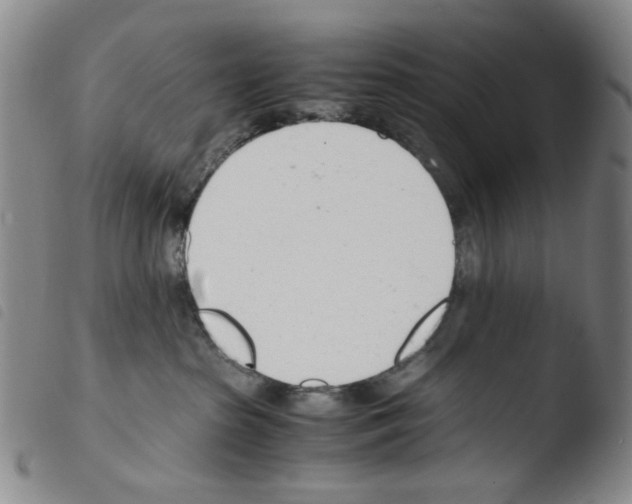 X0000103480285200810241045