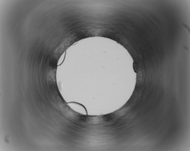 X0000103480286200810241045