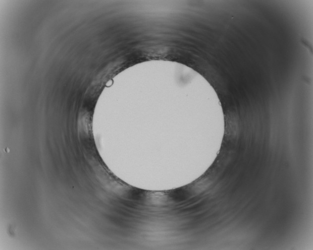 X0000103480287200810241045