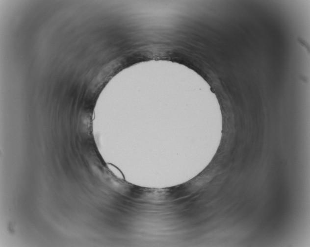 X0000103480288200810241045