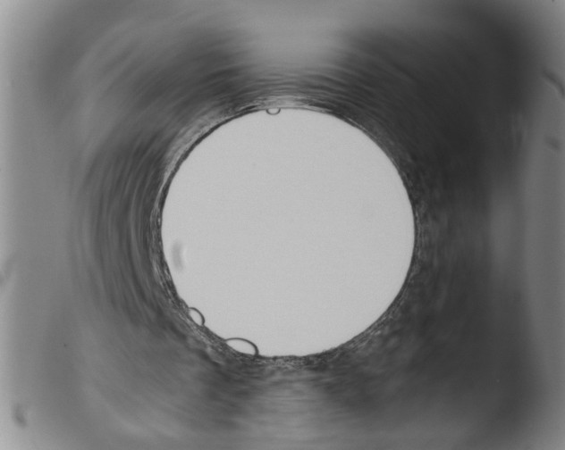 X0000103480289200810241044