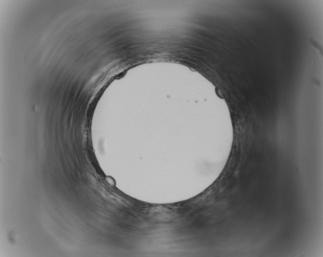 X0000103480290200810241044