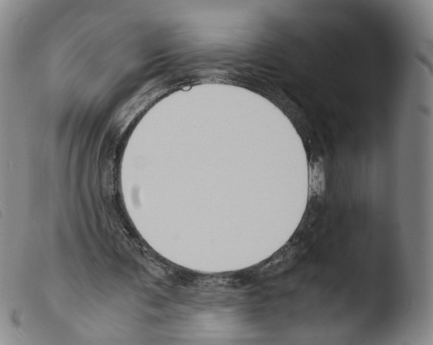 X0000103480291200810241044