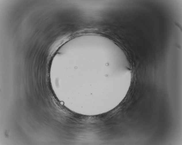 X0000103480293200810241044