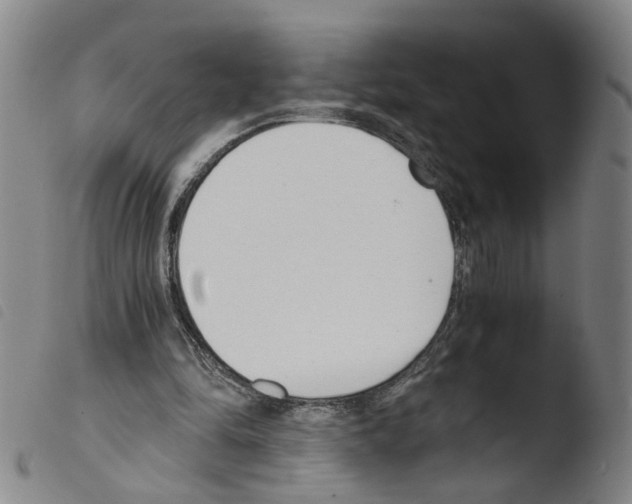 X0000103480294200810241044
