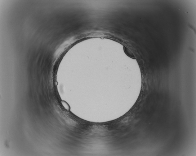X0000103480296200810241044