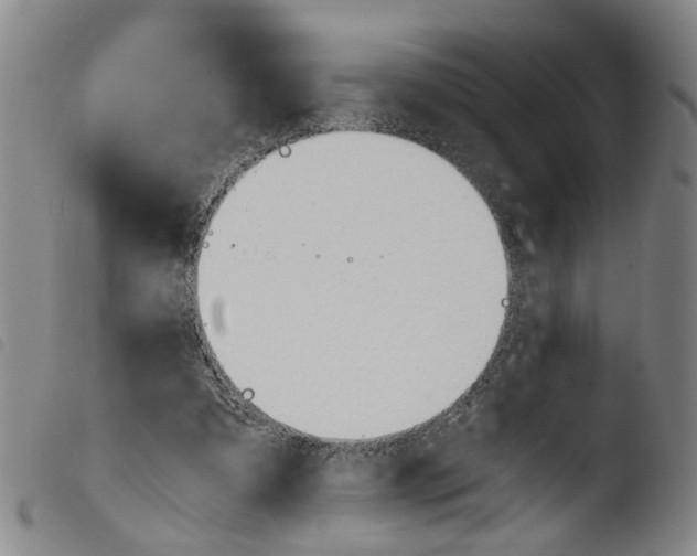 X0000103480297200810241044