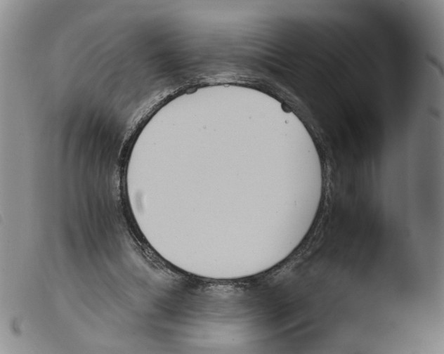 X0000103480298200810241044