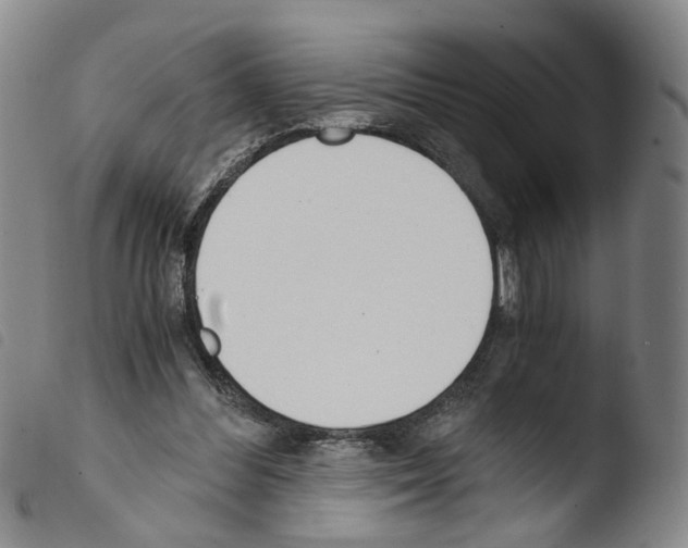 X0000103480300200810241044
