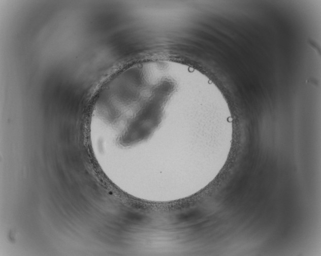 X0000103480301200810241044