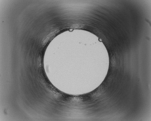 X0000103480303200810241044