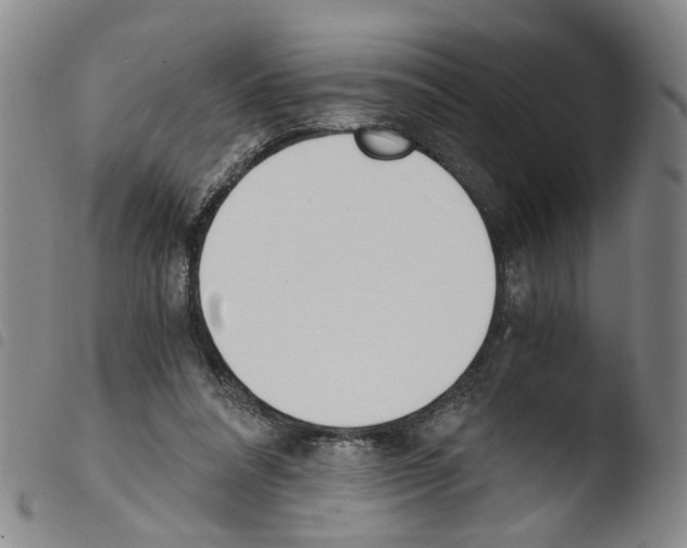 X0000103480304200810241044