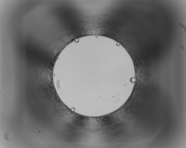 X0000103480305200810241044