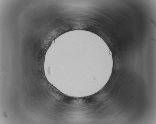 X0000103480307200810241044