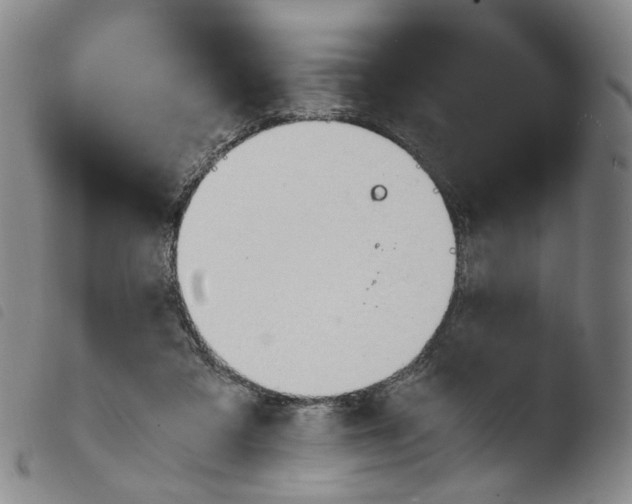X0000103480309200810241044