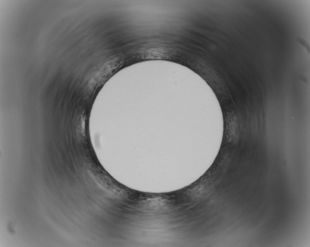 X0000103480310200810241044