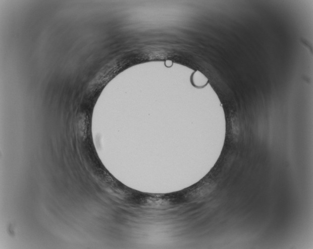 X0000103480311200810241044