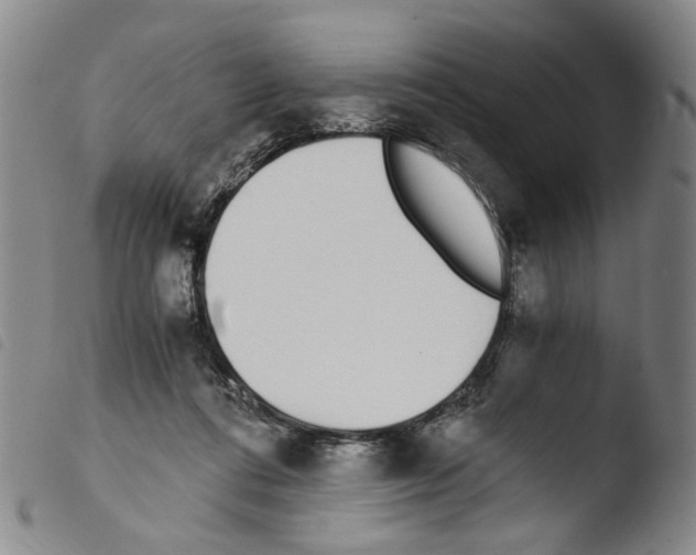 X0000103480312200810241044