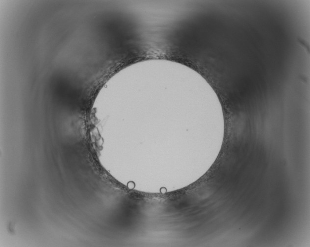 X0000103480313200810241043