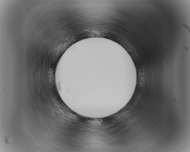 X0000103480318200810241043
