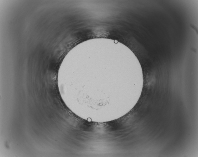X0000103480321200810241043
