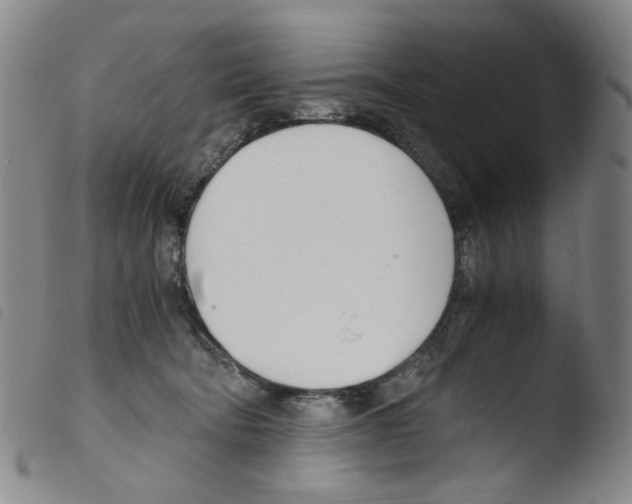 X0000103480322200810241043