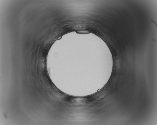X0000103480323200810241043
