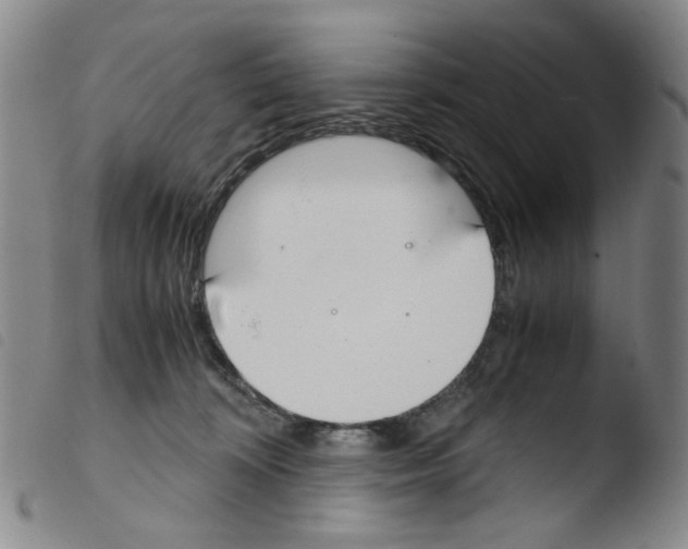 X0000103480324200810241043
