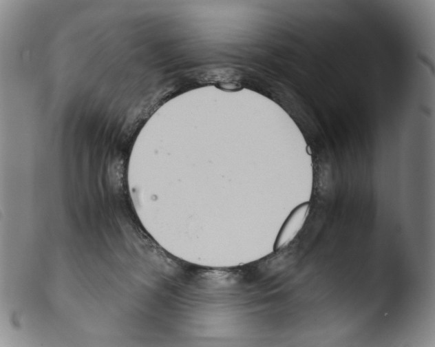 X0000103480326200810241043