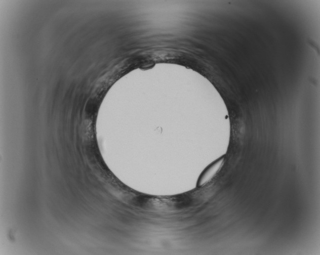 X0000103480327200810241043
