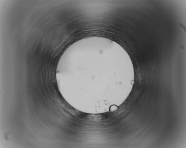 X0000103480328200810241043