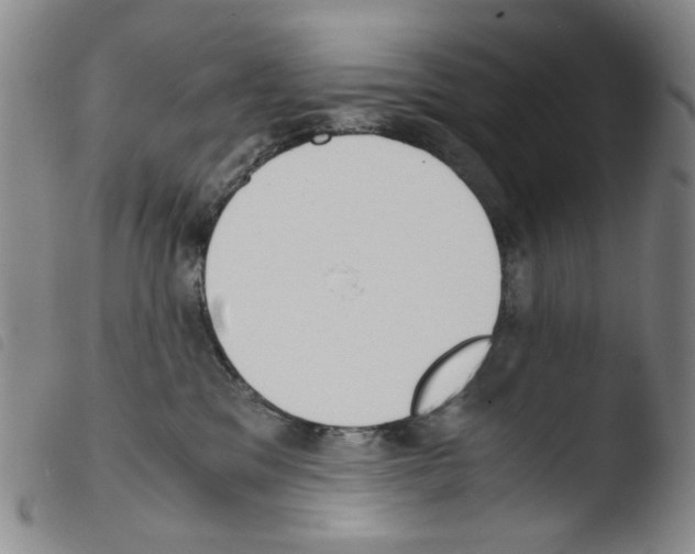 X0000103480329200810241043
