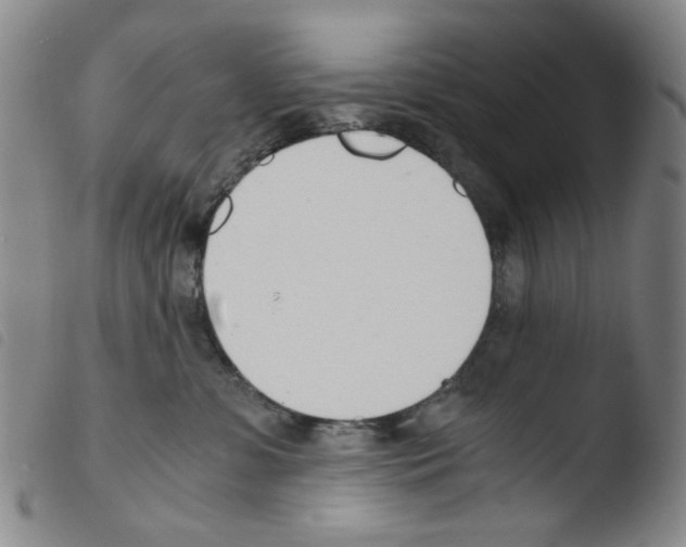 X0000103480331200810241043