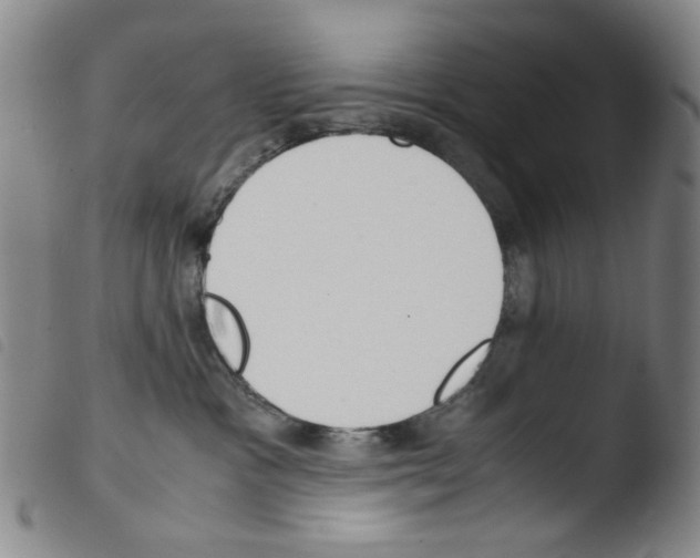 X0000103480333200810241043