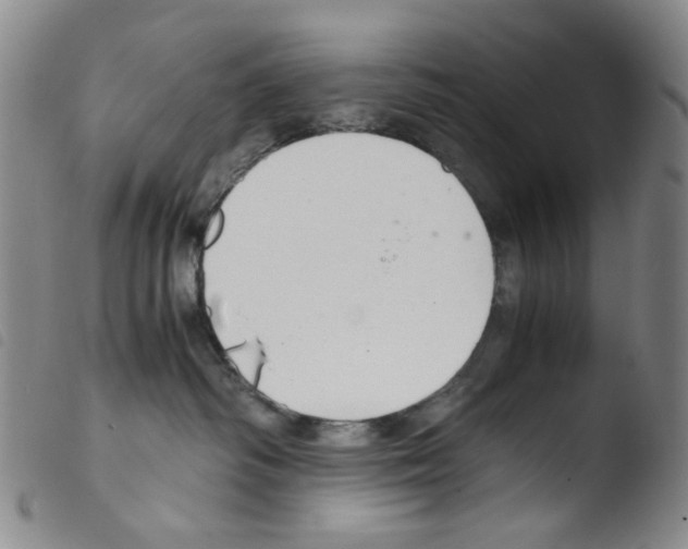 X0000103480334200810241043