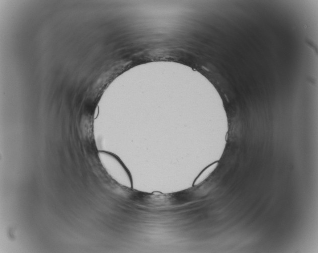 X0000103480335200810241043