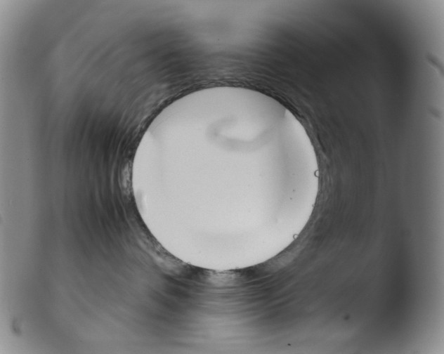 X0000103480336200810241043