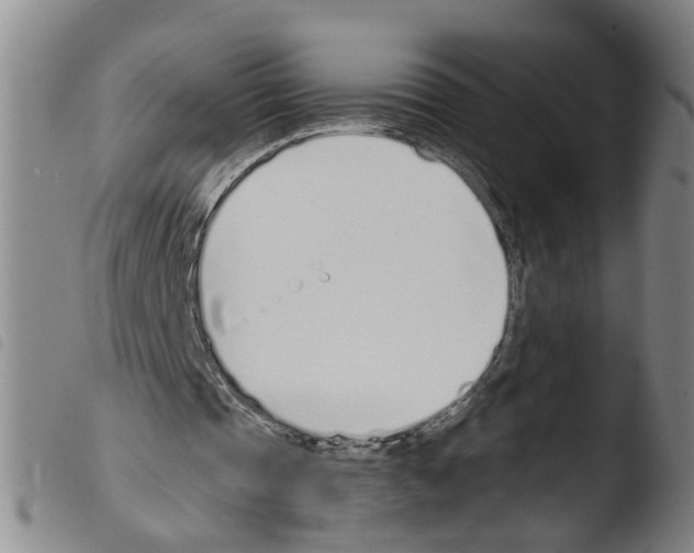 X0000103480337200810241043
