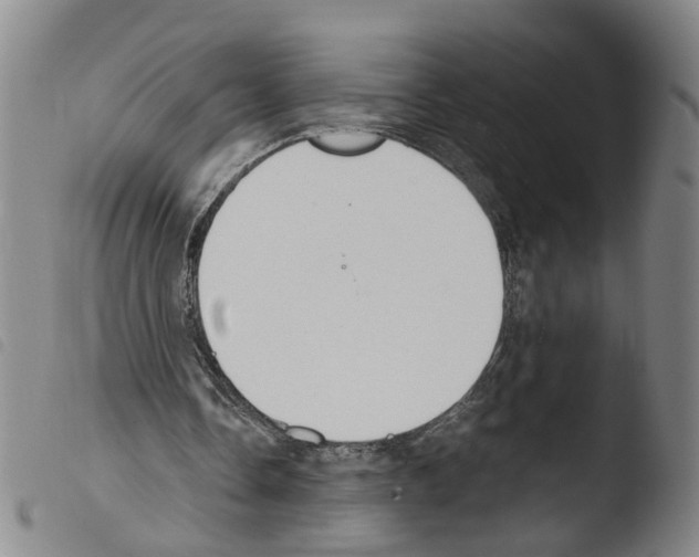 X0000103480338200810241043