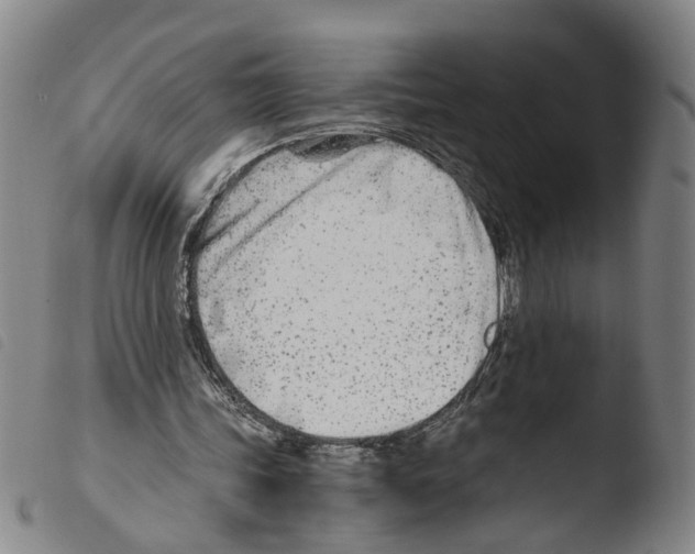 X0000103480339200810241043
