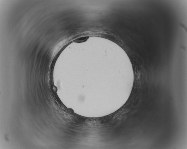X0000103480340200810241043
