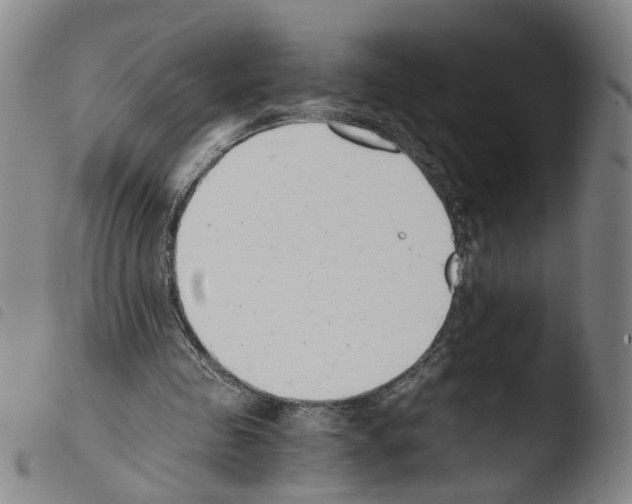 X0000103480341200810241043