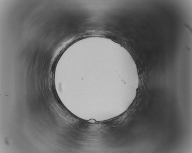 X0000103480342200810241043